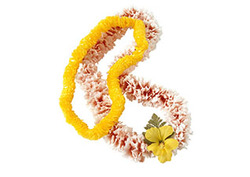 Hawaii: Impacts of Tourism Instructional Video