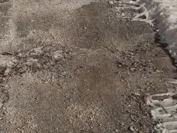 Keeping Earth Healthy: Paths to Sustainability Instructional Video