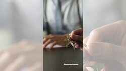 Everyone Got the Markets Wrong This Year: Opinion's Scanlon News Clip