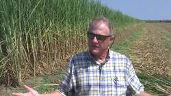 Farmers, fishermen feeling effects of trade war Instructional Video