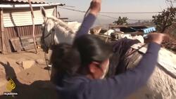 Drought in Mexico reaches critical levels as lakes dry up News Clip