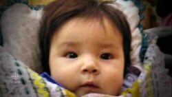 The teen fighting to protect Canada's water — meet Autumn Peltier News Clip