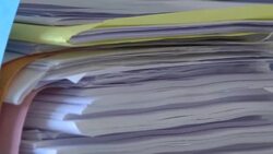 CLEAN : Activist behind France's answer to #MeToo movement wins appeal against defamation conviction News Clip