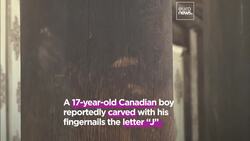 Canadian tourist accused of vandalizing 1,200-year-old temple in Japan News Clip