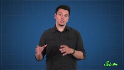 Why Billions of Passenger Pigeons Died in Under a Century Instructional Video