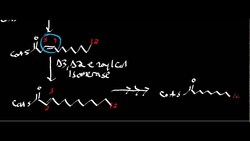 Monounsaturated Fat Oxidation Instructional Video