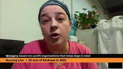 Winnipeg group rescues between 30 and 60 dogs a month. News Clip