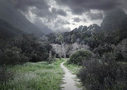 El oscurecimiento global Instructional Video