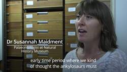 Spiky fossil of new dinosaur species found in Morocco News Clip