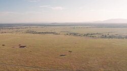 Serene Drone Journey of an African Savannah Safari Instructional Video