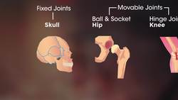 Joints Instructional Video