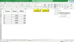 Excel Tutorial: Inserting and Deleting Rows and Columns in Excel Instructional Video