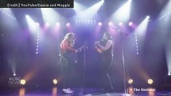 Some Canadian musicians halt U.S. tours over border fears, political climate News Clip