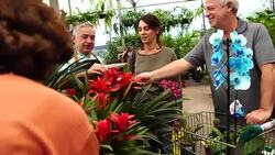 Family shop for plants with Salesman at Flower Market Stock Footage