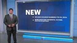 Gun violence up in Suffolk County, new state numbers reveal News Clip