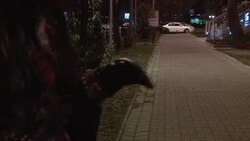 CLEAN : Sochi expects to see sex worker numbers ri News Clip