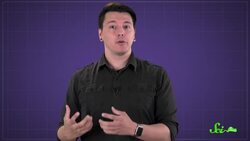 Science for Getting Swole: An Exercise Compilation Instructional Video