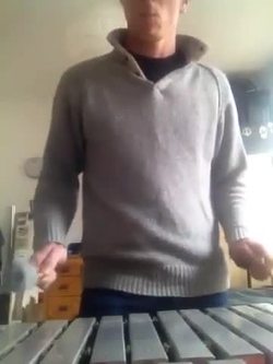 Joe - 4 Instructional Video