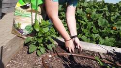 From Gardens to Labs: Uncover the Math Behind Scotts Miracle-Gro Instructional Video