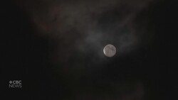 Spectacular supermoon seen gracing the night sky around the world News Clip