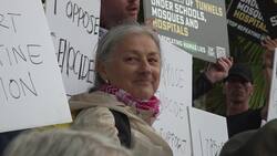 Arrests made at pro-Palestine protest News Clip