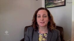 Immigration lawyers on Trump's travel ban News Clip