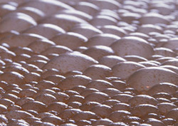 Anaerobic Respiration: Energy Production Without Oxygen Instructional Video