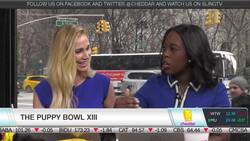 How Do Pups Train for Puppy Bowl? News Clip