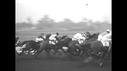 Determine beats out Miz Clementine due to bumping foul at Santa Anita Maturity News Clip