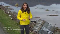 Concerns over water quality after B.C. floods News Clip