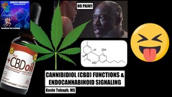 [Re-upload] How Does CBD Oil Work? | Mechanisms of THC and CBD in Pain Instructional Video