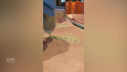 Removal of tariff exemption causes trouble for some Manitoba entrepreneurs News Clip