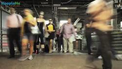 10 Facts About the Holiday Season Instructional Video