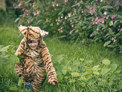 Cooperation: Working Together for a Common Goal Instructional Video