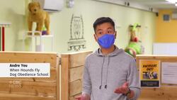 Can't keep up with demand for puppy training News Clip