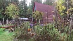 Take a tour of an off grid cabin in the American Redoubt News Clip