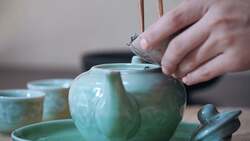 Japan Cultural Activities Instructional Video