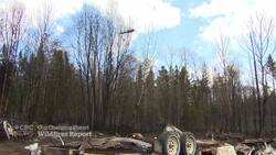 Preventative approach could reduce wildfire risk, UN report says News Clip