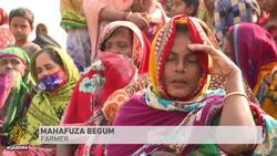 Why farmers in Bangladesh are protesting a plan to repair a dam News Clip