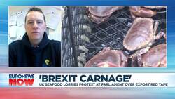 Brexit red tape: UK ports demand government help for fish exporters News Clip