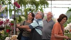 Family shop for plants with Salesman at Flower Market Stock Footage