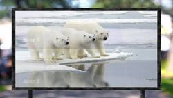 Consequences of Global Warming: Ecosystems at Risk Instructional Video