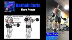 Biceps Workout [12-24-2020] - Exercise is Medicine! Instructional Video