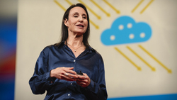 TED: How aerosols brighten clouds — and cool the planet | Sarah J. Doherty Instructional Video