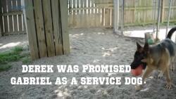 Gabriel The Service Dog A Gift From A Fallen Soldier Instructional Video