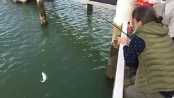Family Fishing from a Boat Jetty Stock Footage