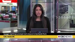 Cougar sightings prompt trail closure in Garibaldi Park News Clip