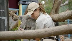 Meet ‘Burra’ or ‘Big Fella!’ This Adorable Koala Joey Instructional Video