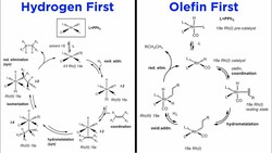 Catalytic Hydrogenation of Alkenes and Alkynes Instructional Video