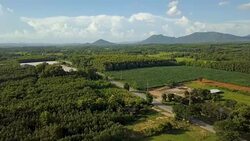 A magnificent aerial of road trip mountain forest and the wildest vegetation, Mekong River. North east in Thailand. Concept of: power, adventure, nature and water. Stock Footage